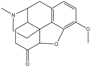 Hydrokodon2 Hydrokodon2