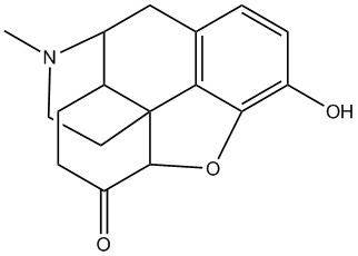 Hydromorfon2